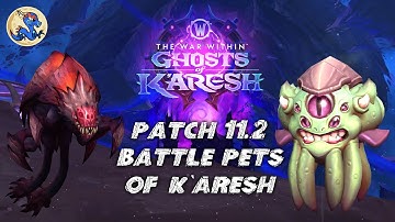 Patch 11.2: Battle Pets of K