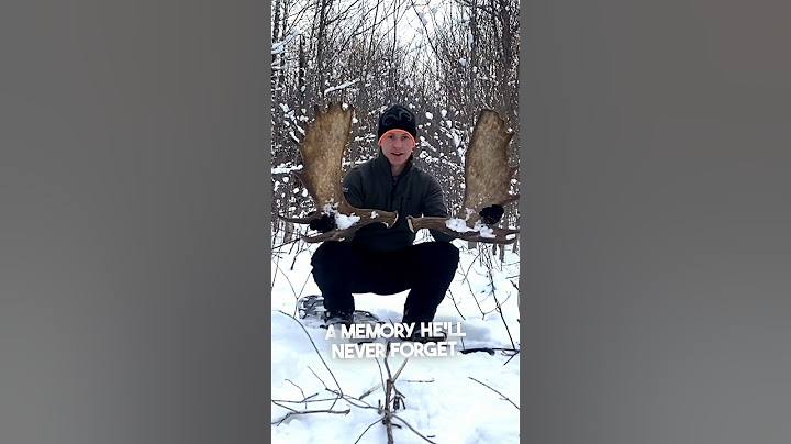 He couldn’t believe he caught this on his drone 😳