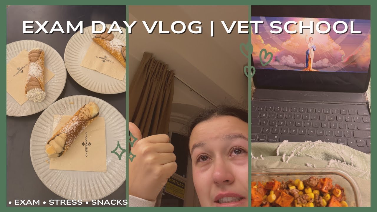 Exam Day in the Life of a Vet Student | Vet School Vlog #11
