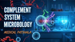 Lectin pathway | Complement System | Last part | Medical Pathshala