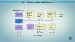 Celebrity Microprocessor based Systems | C7 - L6 | 8051 Microcontroller Block Diagram Profile