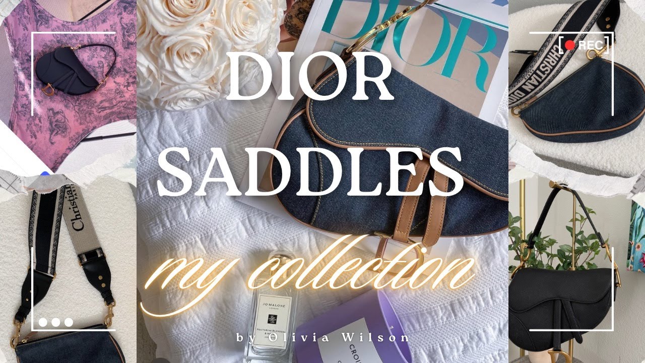 I'm Dior Saddle Obsessed! My little Saddle Collection