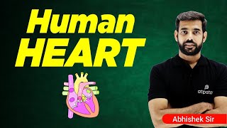 Our Pump - The Heart | Human Heart | Life Processes Class 10 | NTSE Biology | ATP STAR KOTA