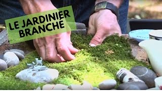 How to Add Moss to Your Garden! | The Trendy Gardener screenshot 3