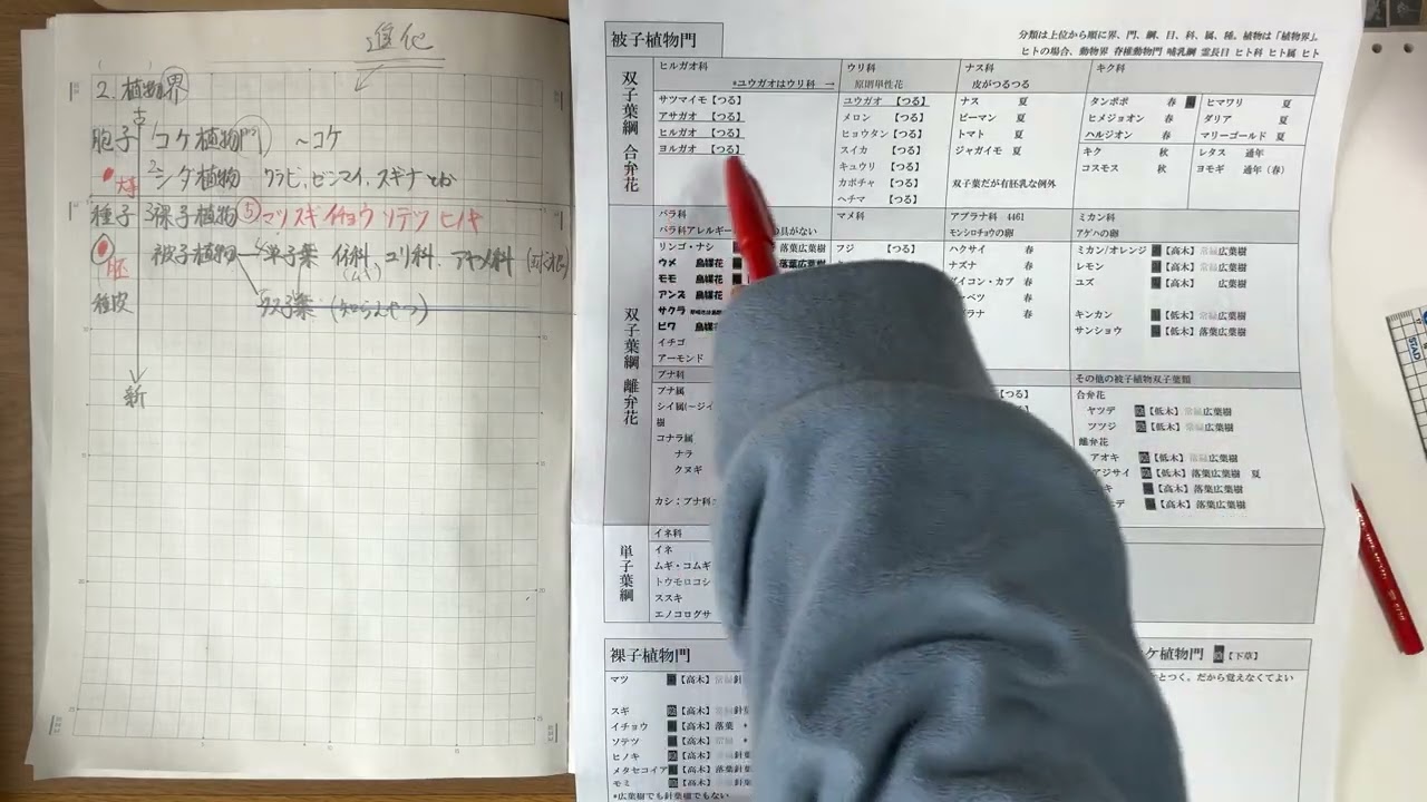 【生物②補足】中学入試範囲の植物について、多角的な分類が存在するものを、1枚のプリントにまとめてみた