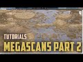 Quixel Megascans. Megascans Studio. Analyze of tool and render it assets in Vray. Part 2