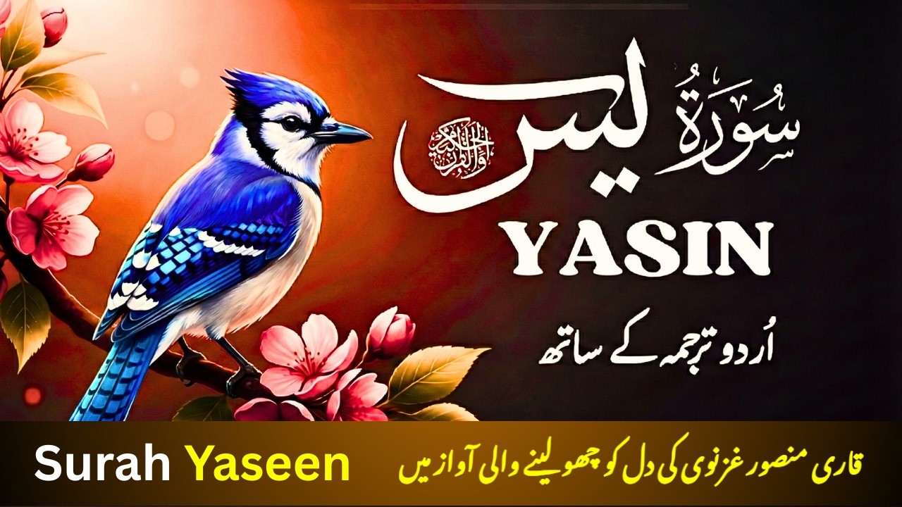 Surah Yasin ki Tilawat | Urdu Tarjuma Ke Sath by Qari Mansoor Ghaznavi | Ep047