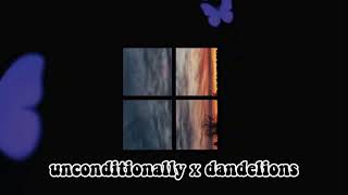 unconditionally x dandelions unconditionally x dandelions