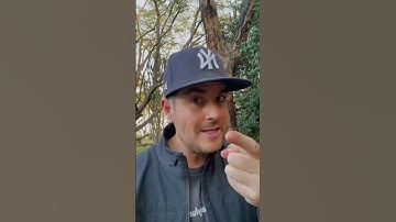 Need help with your asylum case? Start here: winasylum.com