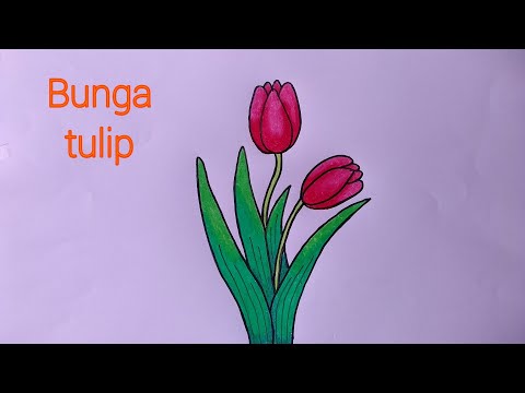 Cara Menggambar Bunga Yang Mudah Menggambar Bunga Tulip Youtube