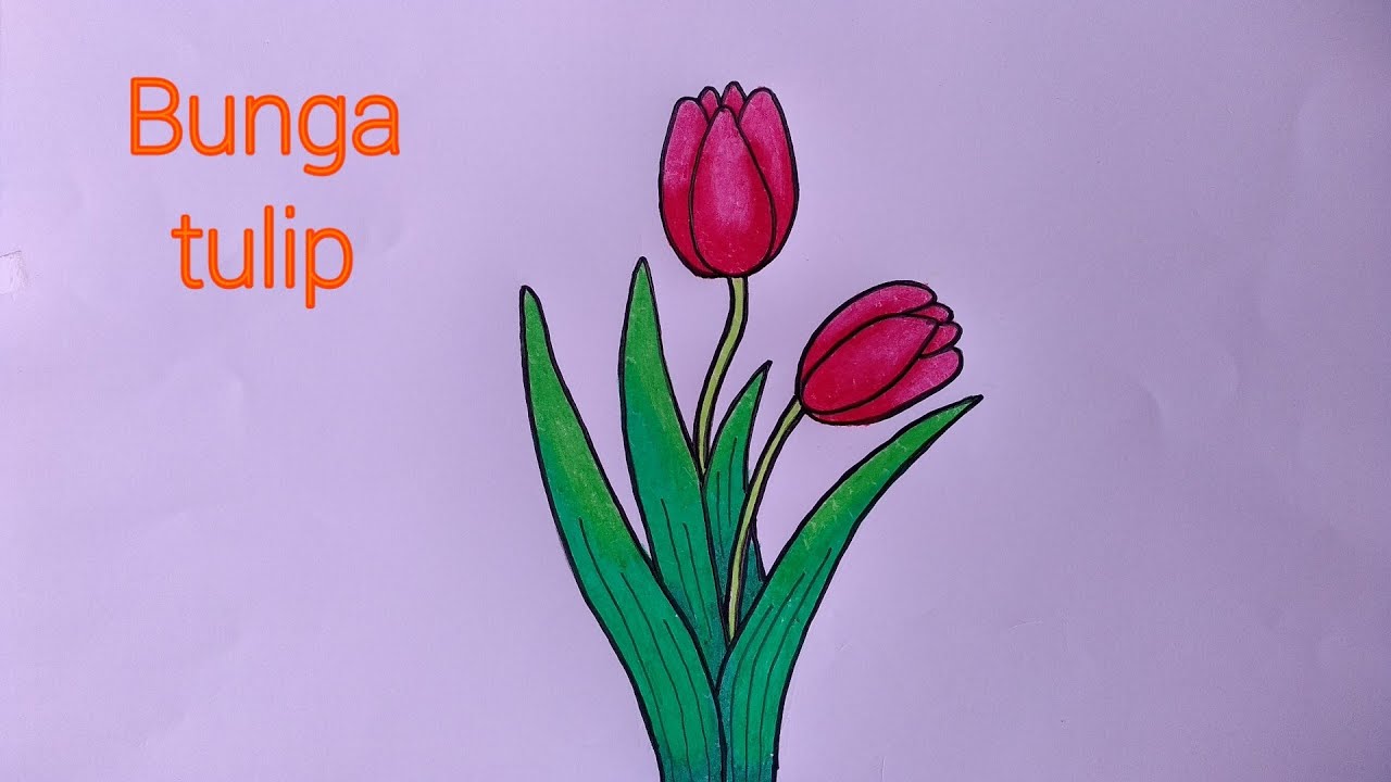 35+ Trend Terbaru Contoh Mewarnai Gambar Bunga Tulip ...