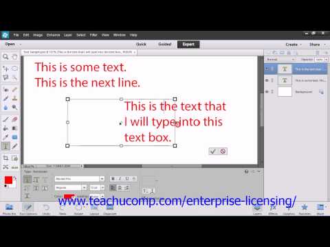 Adobe Photoshop Elements 12 Tutorial Text Employee Group Training 11.4