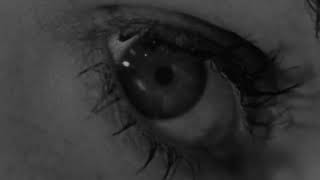 Shower Scene - Psycho 1960