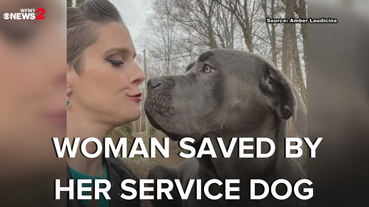 Winston-Salem woman saved by her service dog - YouTube