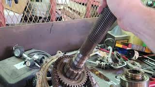 bw4446 chain stretch