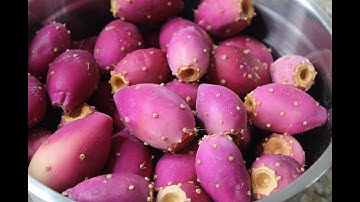 Prickly Pear Syrup/Cactus Fruit
