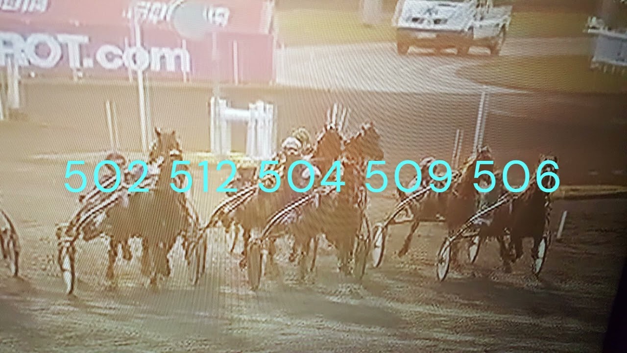 PRONOSTIC COUPLE REUNION 1 PMU MICOTURF DU 5.12.2025