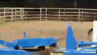 Download lagu Mojo Halloween fun run pumpkin in the bucket or something like that.