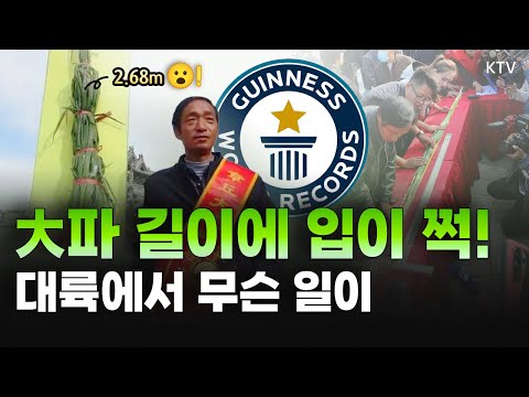 사람보다 훨씬 큰 ‘대파’ 발견😮 키가 무려 2.68m..!｜2억 원에 낙찰된 버섯의 정체｜“신생아에게 뽀뽀 금지” 영국 의사의 경고