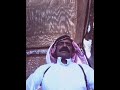 يا ذيب الشاعر مناحي الهاملي الشرفات 