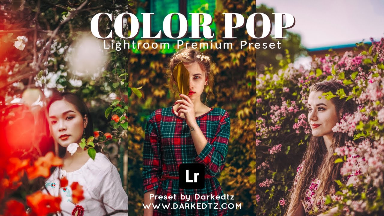 Free Lightroom Preset |  How to Edit Professional Photography | Color Pop Preset in Lightroom Mobile