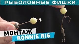 Особенности монтажа Ronnie Rig! Как правильно вязать монтаж!? Рыболовные фишки!