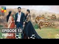 Tera Ghum Aur Hum Episode 13 Promo HUM TV Drama