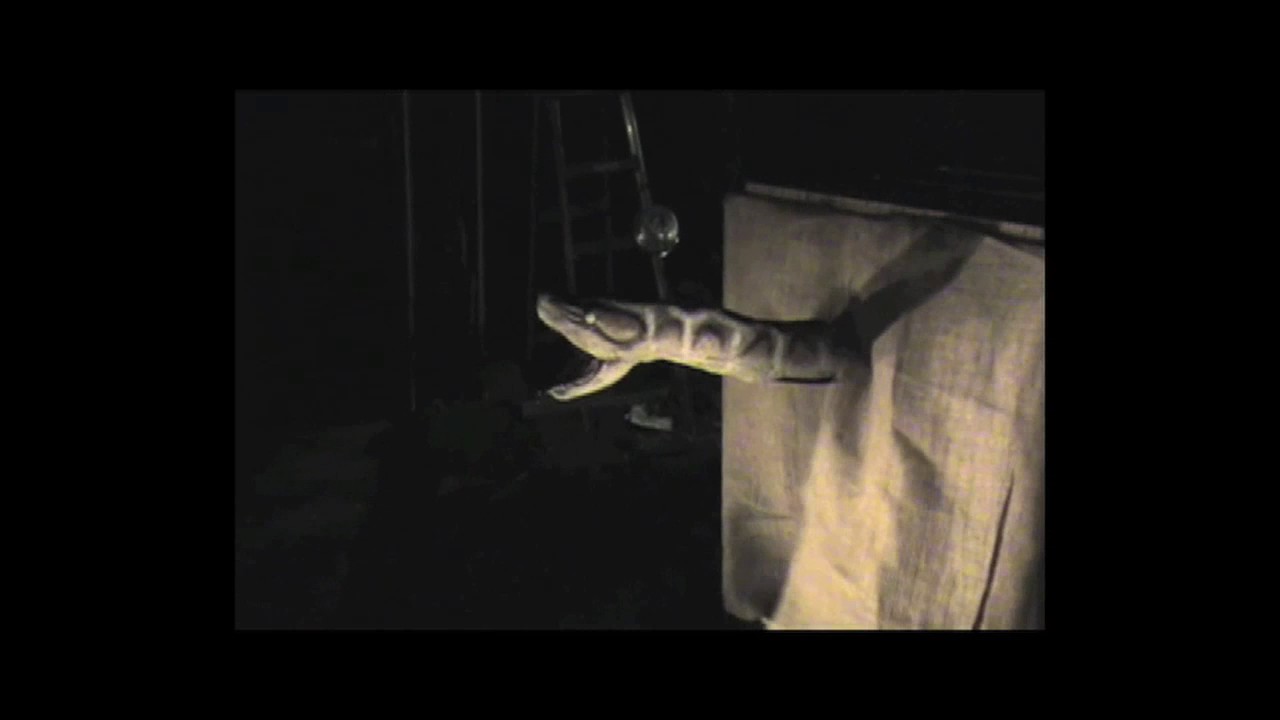 SN102 SNAKE IN A CRATE PoisonProps.com