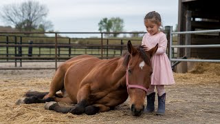 Paralyzed Horse Set to Be Put Down—A 6-Year-Old Girl’s Discovery Changes Everything