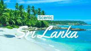 Sri Lanka Paradise Island | Шри Ланка | スリランカ
