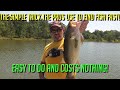 The EASIEST Way To Find Bass FAST!