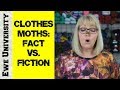 CLOTHES MOTHS: FACT VS. FICTION