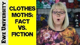 CLOTHES MOTHS: FACT VS. FICTION