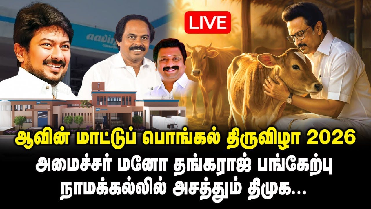 🔴 LIVE : ஆவின் மாட்டுப் பொங்கல் திருவிழா 2026 | அமைச்சர் மனோ தங்கராஜ் பங்கேற்பு | Namakkal DMK