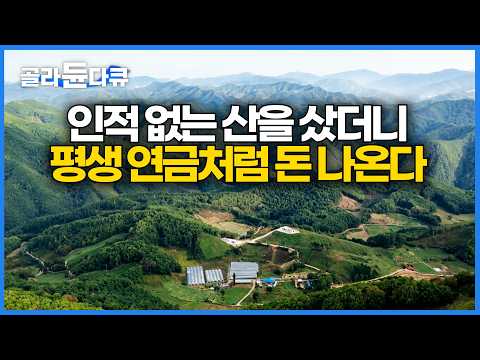 40년 전 소 키우려고 산 오지 땅이 황금밭이 됐다. 첩첩산중 민둥산에서 매년 연금처럼 잣 수확하는 노부부의 삶｜한국기행｜#골라듄다큐