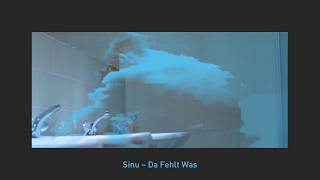 Sinu - Da Fehlt Was