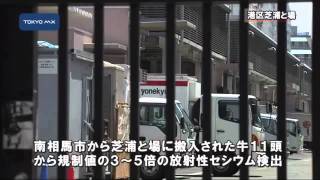 福島の牛　東京に出荷の11頭から放射性セシウム