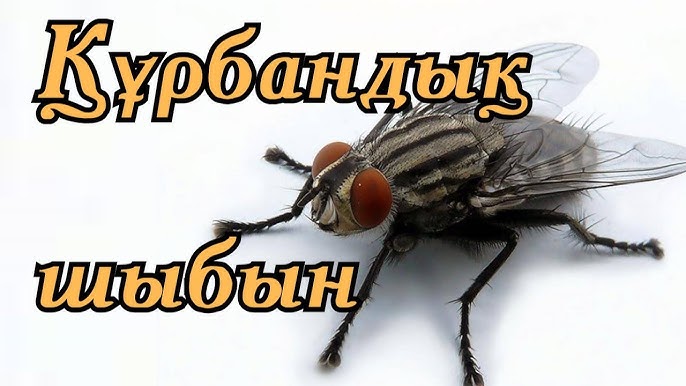 Жалаңаш Оксана Федорова жалған