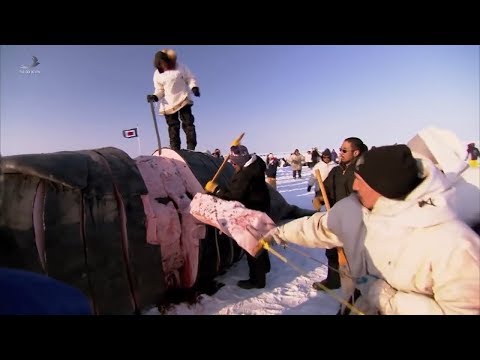 Video: Biển Bắc Băng Dương: Danh Sách