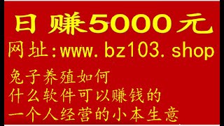 养一百只兔能赚多少钱,22年创业项目,兔的养殖加盟,赚钱项目月赚七万第53季