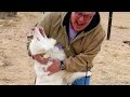 Dogs Get So Excited When They See Their Dad After Time Apart