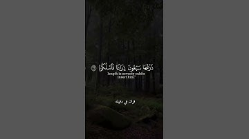 قران كريم ارح قلبك وسمعك #قران_في_دقيقة #حمزة_الفار #quran #المصحف #قران @قران_في_دقيقة