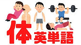 体 Body 体の部分 Body Parts 日本語と英語の人体部分 Youtube