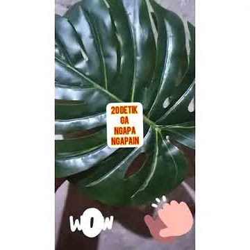 20 detik ga ngapa-ngapain
