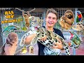 All my exotic animals in one  full zoo tour 