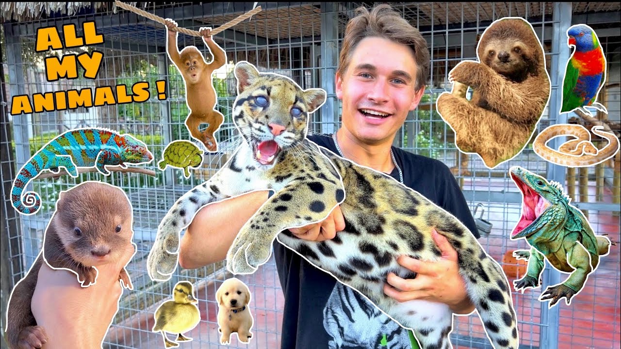 ⁣ALL MY EXOTIC ANIMALS IN ONE VIDEO ! FULL ZOO TOUR !