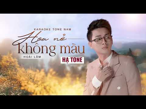 Hoa Nở Không