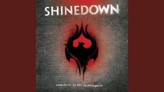 Vignette de la vidéo "Shinedown - Simple Man (Live from Washington State)"