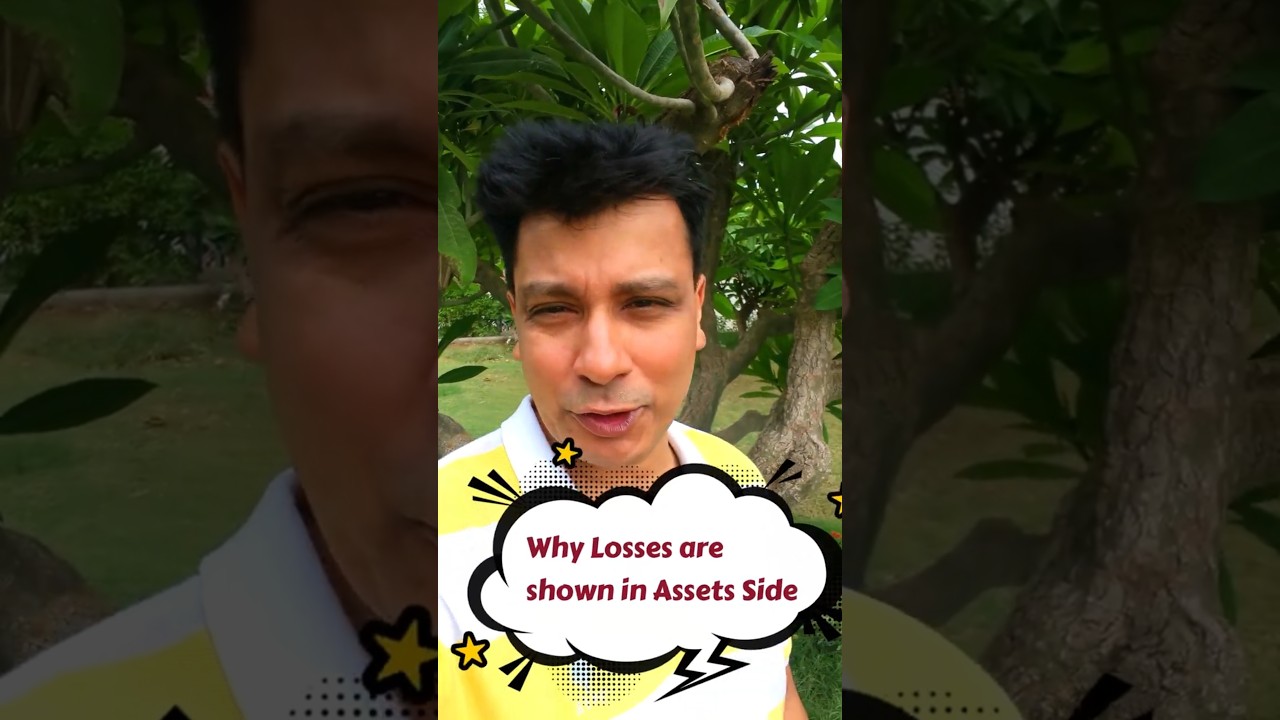 Do you know why Losses are shown in Asset side of Balance Sheet 