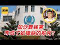 袁Sir聊联合国与哈马斯：加沙难民署咋被蛤蟆丝渗透成了筛子？#lifeano漫聊 260715
